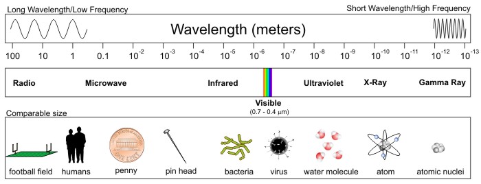 A chart of the various types of EM radiation along with a comparison of wavelengths to common objects.